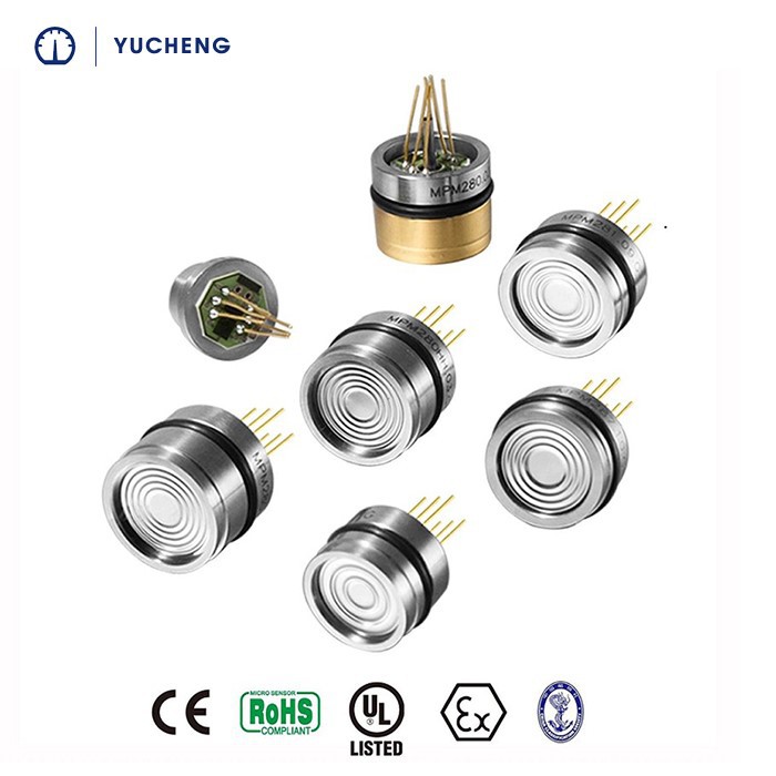 Assembled Gauge Pressure Sensor Assembled Gauge Pressure Sensor