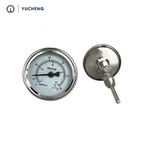 Zifferblatt-Thermometer