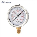 Premium-Manometer mit Messing-Einbauten