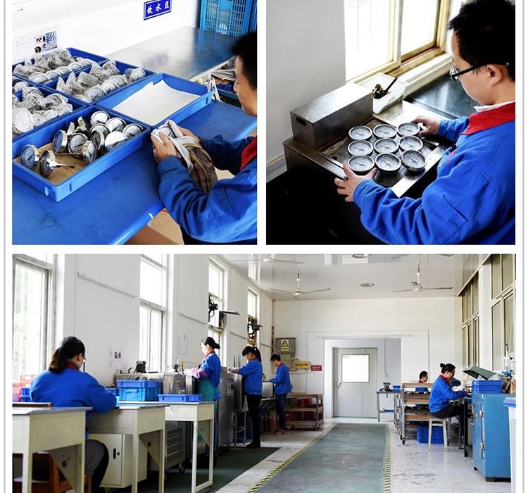 testing process