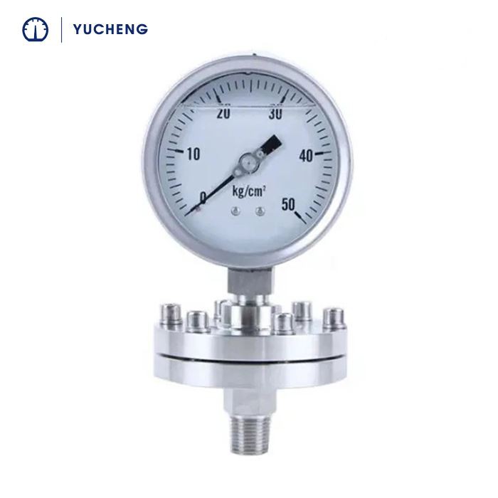Diaphragm Type Pressure Gauge