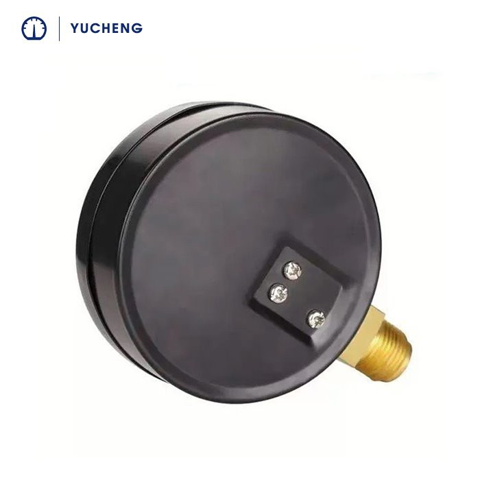 steel case pressure gauge (2)