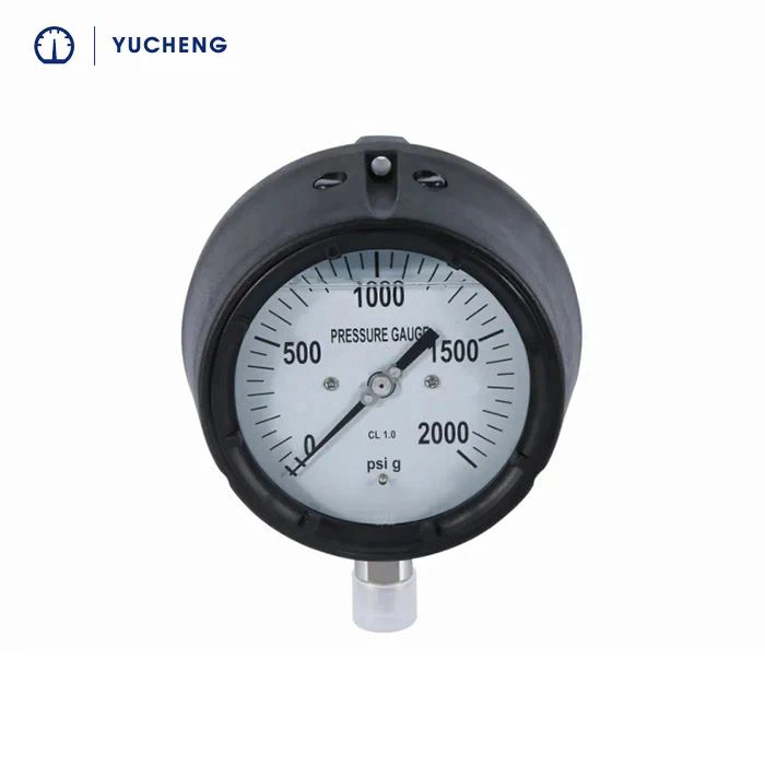NPT-Anschluss Prozess-Manometer