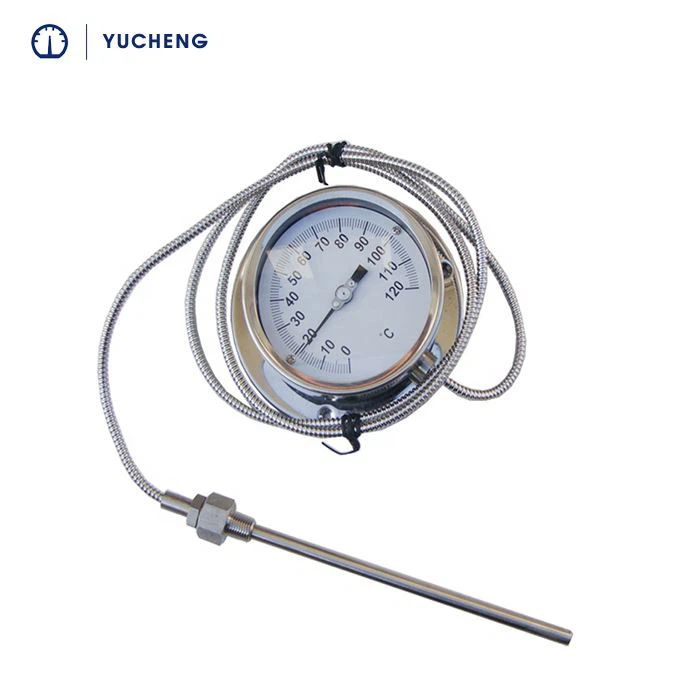 Fernablesungsthermometer