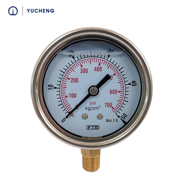 Mit Silikonöl gefülltes Manometer