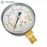 Capsule Type Pressure Gauge Connection Bottom