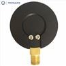 Capsule Type Pressure Gauge Connection Bottom