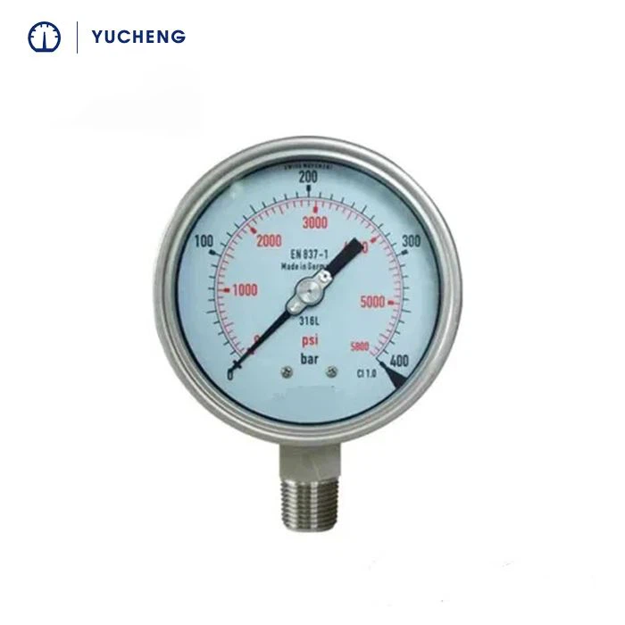 Bar- und Psi-Manometer aus Edelstahl