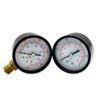 2 Inch Ferrum Pressure Gauge