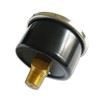 2 Inch Ferrum Pressure Gauge