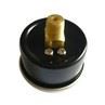 2 Inch Ferrum Pressure Gauge