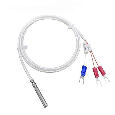 Flexibler, abgedichteter RTD-Pt100-Temperatursensor